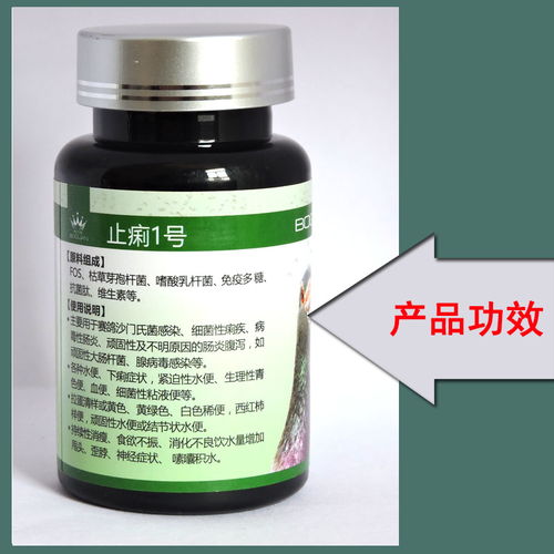搏冠鸽药 鸽子水便绿便腹泻肠炎与沙门氏菌感染的精准防控方案