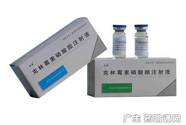 克林霉素磷酸酯注射液 临床应用与注意事项详解
